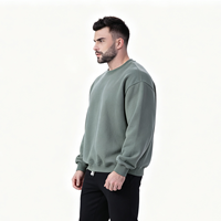 Sweat-shirt à capuche en coton uni de haute qualité, épais, 300 g/m², personnalisable en gros