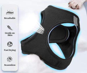 Custom Dog Harness With Leash Set Fast Drying Puppy Vest Adjustable Leash Reflective Stripes <b>Step</b>-In Breathable Mesh Dog Harness - Product Image 4