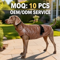 Veste d'hiver pour chien de créateur en cuir noir carbone et fourrure de mouton, la plus chaude, avec ceinture à œillets métalliques, prix de gros