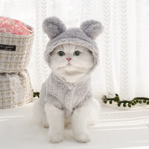 Classici comodi <span class=keywords><strong>vestiti</strong></span> caldi in pile di corallo <span class=keywords><strong>per</strong></span> animali domestici autunno/inverno simpatiche felpe con cappuccio con orecchie di <span class=keywords><strong>coniglio</strong></span> con stampa divertente stile Cosplay lettere - Product Image 6