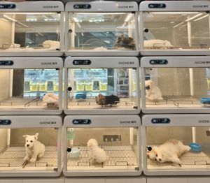 Cápsula Espacial Inteligente para Gatos, Jaula Multifuncional de 2 Niveles, Jaula de Crianza con Luces de <span class=keywords><strong>Tres</strong></span> Colores - Product Image 6