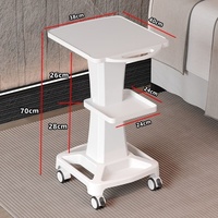 Carrito Rodante para Instrumentos de Belleza, Carrito de Spa, Carrito Multifuncional Portátil de Plástico con 4 Ruedas para Gimnasio y Supermercado