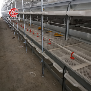Cage automatique pour poulets de chair de <span class=keywords><strong>type</strong></span> H à 4 niveaux avec système d'alimentation et d'abreuvement à piles pour l'élevage de volailles - Product Image 4