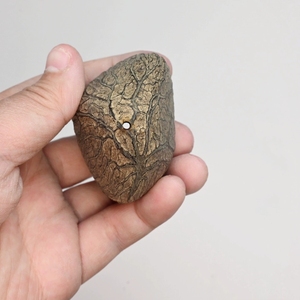 Wholesale Natural Hollow Pangi Fruit Shell For Meditation And <b>Wind</b> <b>Chime</b> - Product Image 4