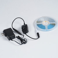 Tira de Luces LED COB de 5 Metros con Interruptor, Decoración de Interiores, Luces LED de 12v, Foco LED/Tira LED RGB/Tira de Luz LED