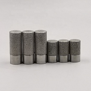 Éléments filtrants en acier inoxydable de sonde de capteur d'humidité et d'humidité du sol - Product Image 6