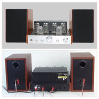 Kit d'amplificateur à tube sous vide multifonctionnel Alimentation audio domestique avec module BT/Aux-in /CD-in et haut-parleurs stéréo externes