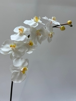 Haute qualité luxe Latex papillon orchidée fleurs en soie artificielle pour mariage noël remise des diplômes fête des mères décor à la maison