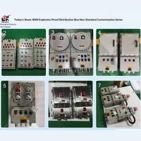 Boîtier de distribution antidéflagrant BXM(D) pour zones dangereuses Zone 1 & 2 - Boîtiers de commande, d'éclairage, d'alimentation et d'instruments