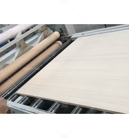 Mesin Pengamplas Kayu Lapis MDF PB HPL Veneer