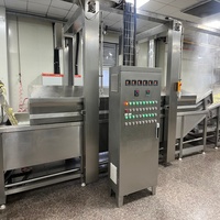 Máquina Automática para Freír Papas Fritas, 300-800 kg/h, para Papas Fritas, Galletas de Camarón, Plátano, Patata, Freidora Continua de Fábrica