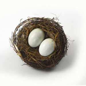 Nóng bán trứng trắng đáng yêu trong tổ để trang trí sân vườn - Product Image 2