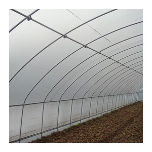 <span class=keywords><strong>Serre</strong></span> de film PE économique pour la culture de légumes <span class=keywords><strong>Serre</strong></span> agricole à tunnel unique - Product Image 3