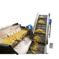 Industriële volautomatische friteuse voor het maken van gebakken aardappelchips, frieten, met aanpasbare spanning, geschikt voor groenten/fruit