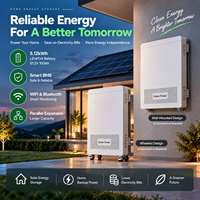 Batterie lithium LiFePO4 murale 51,2 V 100 Ah 5 kWh avec WiFi et Bluetooth pour système de stockage d'énergie solaire domestique