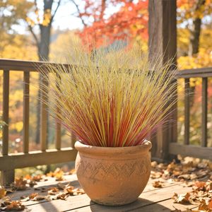 Hierba de Trigo Artificial Resistente a los Rayos UV, Ramas Artificiales con Tallos Verdes para Decoración de Jardín, Ventanas, Oficina, Interiores y Exteriores - Product Image 5