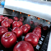 Volledig automatische fruitwas-, was-, droog-, sorteerlijn voor sinaasappels, appels, avocado's, drakenvruchten; machine voor maat- en gewichtsselectie en verwerking.