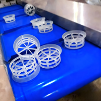 Anneau de filtration aléatoire Pingxiang Dai-Er 16-76mm pour l'élimination des COV et le traitement des gaz d'échappement des tours en plastique, et le lavage des gaz acides