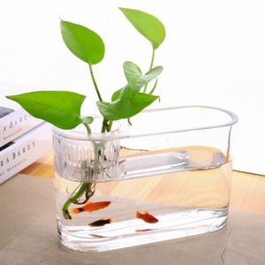 حوض سمك بيضاوي من الزجاج والسيراميك صديق للبيئة سعة 5 لتر - Product Image 1
