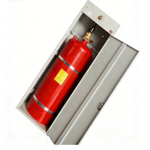Armoire d'extinction d'incendie HFC-227ea 120L*2 WK en acier rouge de qualité industrielle pour bibliothèques - Product Image 4