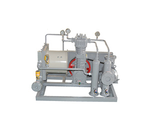 Compresseur d'éthane à fréquence variable, lubrification sans huile, refroidi par air, à courroie, BT4 - Product Image 5