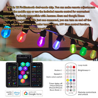 Ampoule transparente en acrylique imperméable à l'eau Application d'éclairage de patio Télécommande intelligente fonctionne avec Alexa Google RGBW Bistro String Lights