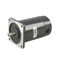 Moteur électrique à balais série 100ZYT, diamètre 100 mm, carré, vertical/horizontal, 100/200/300/400/500 W, 1750 tr/min