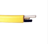 Kabel Bangunan Tembaga Bersertifikasi 250FT ROLL Tipe Nm-B NMD90 12/2 14/2 10/2 12/3 14/3
