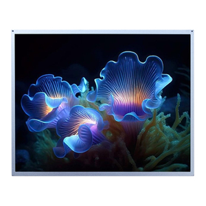 Módulo LCD Industrial SXGA TN de 19.0 Pulgadas AUO G190ETN01.4 450cd/m² Pantalla para Exteriores de Alta Uniformidad - Product Image 1