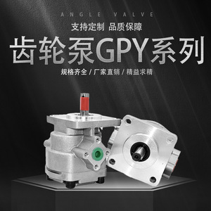 ปั๊มไฮดรอลิก XTCG รุ่น GPY-4R 6R 8R 9R 10R 11.5R ปั๊มน้ำมันแรงดันสูงสำหรับระบบไฮดรอลิก - Product Image 5