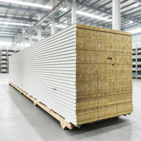 Panneau d'isolation en laine de roche imperméable, panneau sandwich en laine de roche pour l'absorption acoustique et la réduction du bruit dans les ateliers d'usine