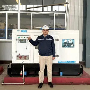 휴대용 저렴한 가격 50kw 사일런트 오픈 타입 디나모 디젤 발전기 판매