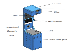 Sistema DWS Automático <span class=keywords><strong>Senad</strong></span> para E-commerce: Pesaje y Escaneo de Dimensiones Estáticas con Clasificación por Ruedas Pop-up (1000-3000 PPH) de Aleación de Acero - Product Image 6