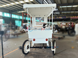 Nuevo Vehículo Eléctrico de Turismo para Fotografía de Viajes, Transporte Especial para Múltiples Ocasiones - Product Image 4