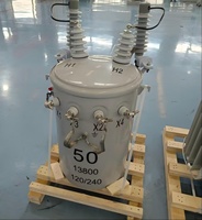 Transformateurs de distribution monophasés de type poteau 15 kVA 50 kVA 11 kV 10 kV économiques pour projets ruraux