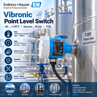 Endress+Hauser Liquiphant FTL41 100% Original Vibronic Point Level Switch pour la protection des pompes de réservoirs de liquides