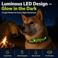 En Stock, Clip de Correa para Mascotas con LED de Alta Calidad, Diseño de Cocodrilo, 3 Modos, Recargable por USB, Accesorios para Perros y Cachorros