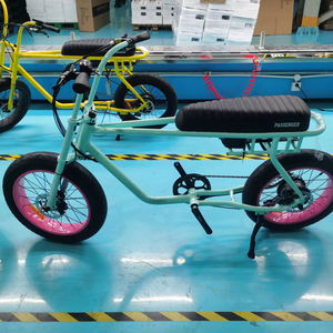 Batería para Bicicleta Eléctrica de 500 Vatios, Motor Trasero, Neumático Ancho 73, Bicicleta Eléctrica de Dos Plazas, Batería OEM de Fábrica para Bicicleta Eléctrica de Pasajeros, 36v 500 Vatios - Product Image 1