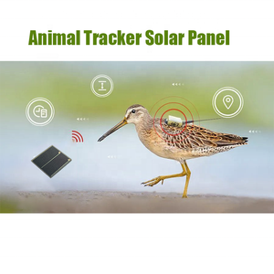 Riple uncuntion alliallium rrsenide Solar oblea AAS Hin ililm ilolar ell - Product Image 3