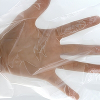 Gants jetables en plastique PE transparent pour usage domestique, prix d'usine, vente en gros, avec HDPE personnalisé
