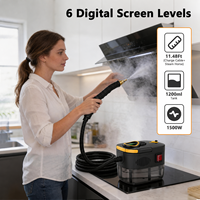 Nettoyeur Vapeur Haute Performance pour Maison, Fenêtres, Cuisinières, Fours, Porcelaine, Briques, Interstices de Fenêtres, Climatiseurs, Réfrigérateurs (OEM)