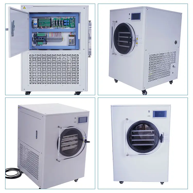 15kg/24hour Commercial Lyophilizer Dry Machine Vacuum Price Small Capacity Freeze Dryer