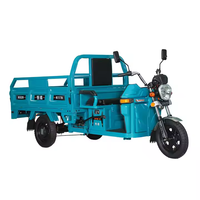 Elektrische vracht-driewieler met kiepbak 1000W60V32Ah zware uitvoering 3-wiel elektrische driewieler voor goederenvervoer en stedelijk transport