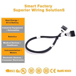 OEM Yüksek Voltajlı EV Motor Şarj Kablosu Kablo Demeti, Elektrikli Araç Bilgisayar Güç Sistemleri için PTFE/Naylon İzolasyonlu - Product Image 3