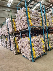 Cebola Branca Orgânica Cebola Amarela Legumes Frescos no Melhor Preço Cebola de Qualidade Superior para Exportação - Product Image 5