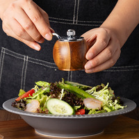 Ensemble de moulins à poivre en bois à manivelle, moulin à sel et épices multifonctionnel avec noyau en céramique, mini outil de cuisine
