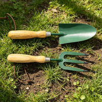 Mini-truelle à main en acier inoxydable durable, revêtement vert antirouille, poignée en bois courbée solide, pour jardinage et plantation sur balcon