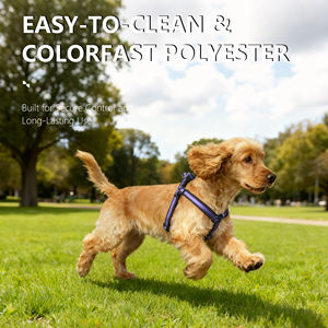 Nunbell çevre dostu naylon basit y-şekilli katı toka kapatma kolay temiz hafif dayanıklı köpek koşum uzun süreli kullanım - Product Image 4