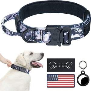 कुत्ते कॉलर, एडजस्टेबल प्रशिक्षण नायलॉन कुत्ते कॉलर के साथ एडजस्टेबल प्रशिक्षण नायलॉन कुत्ते कॉलर - Product Image 4