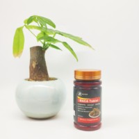 Complément alimentaire Maca Power Enhancement pour adultes, comprimés Max Man MACA, non destiné aux femmes enceintes